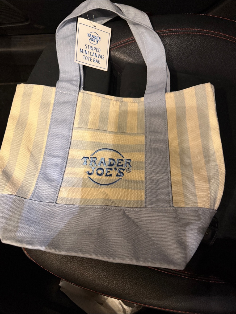 Blue and Cream Striped Mini Canvas Tote Bag 
Available in different color